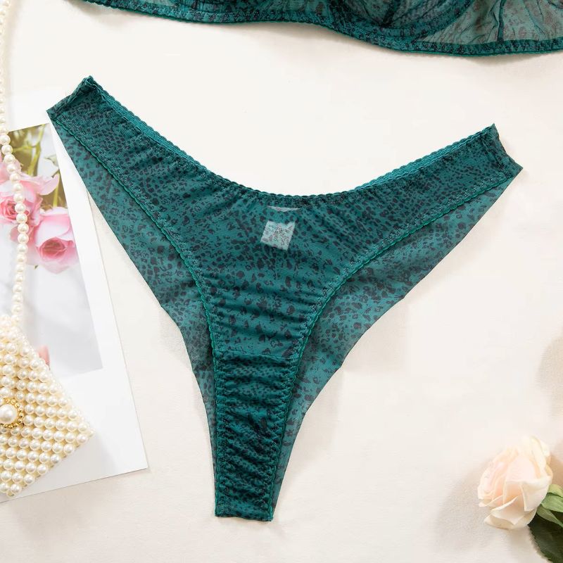 2pcs/Set Woman Lingerie Gather - Sheer Mesh Bra 리뷰 및 가격