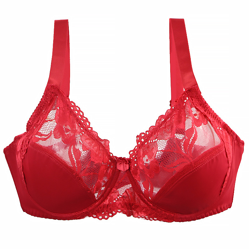 Minimizer Plus Size Underwire  - Minimizer Bra Women 리뷰 및 가격